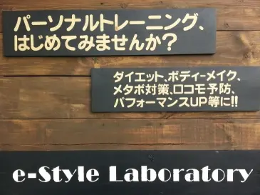 e-Style Laboratoryの画像