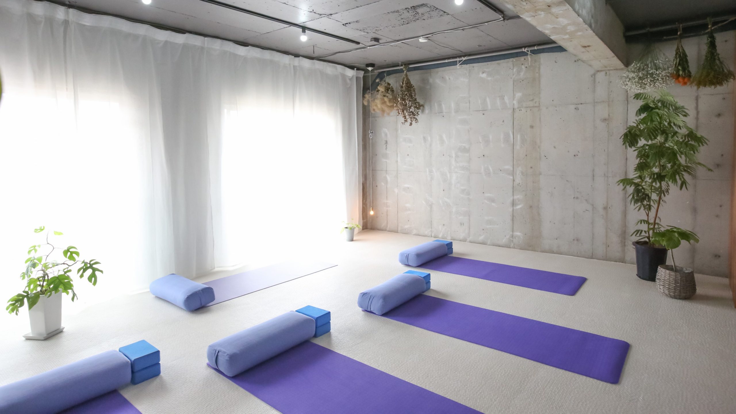Hanae yoga studioの画像